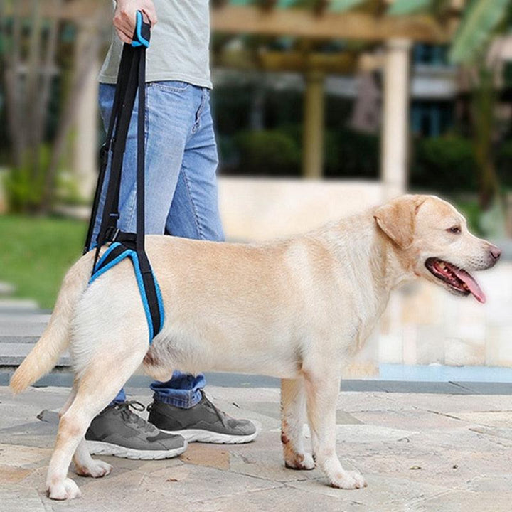 Arnés Ortopédico patas traseras perro