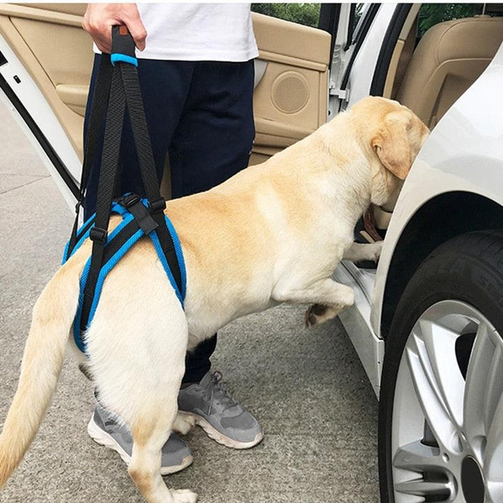 Arnés Ortopédico patas traseras perro