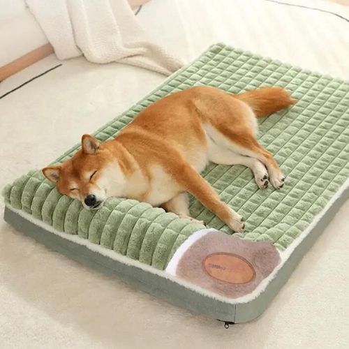 Cama Ortopédica para Perro