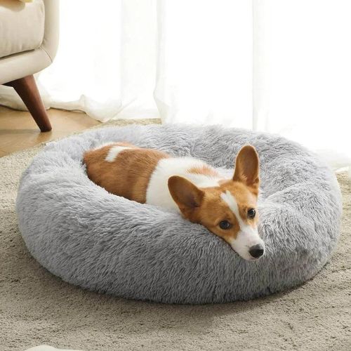 Cama antiestres para perro