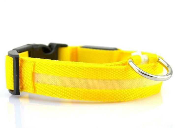 Collar LED - MascotaGadget.com