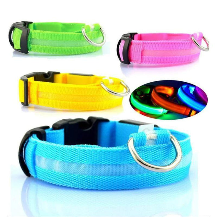 Collar LED - MascotaGadget.com